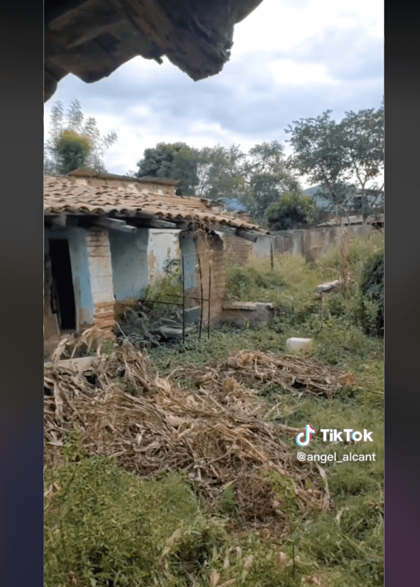The front view of Angel's decaying family home shows the lawn covered in overgrown weed. | Source: tiktok.com/@angel_alcant