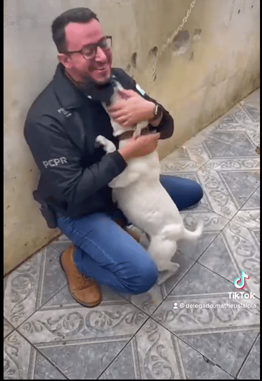 Screenshot of video showing the chained up dog kissing the man who freed her. | Source: Facebook/Delegado Matheus Laiola