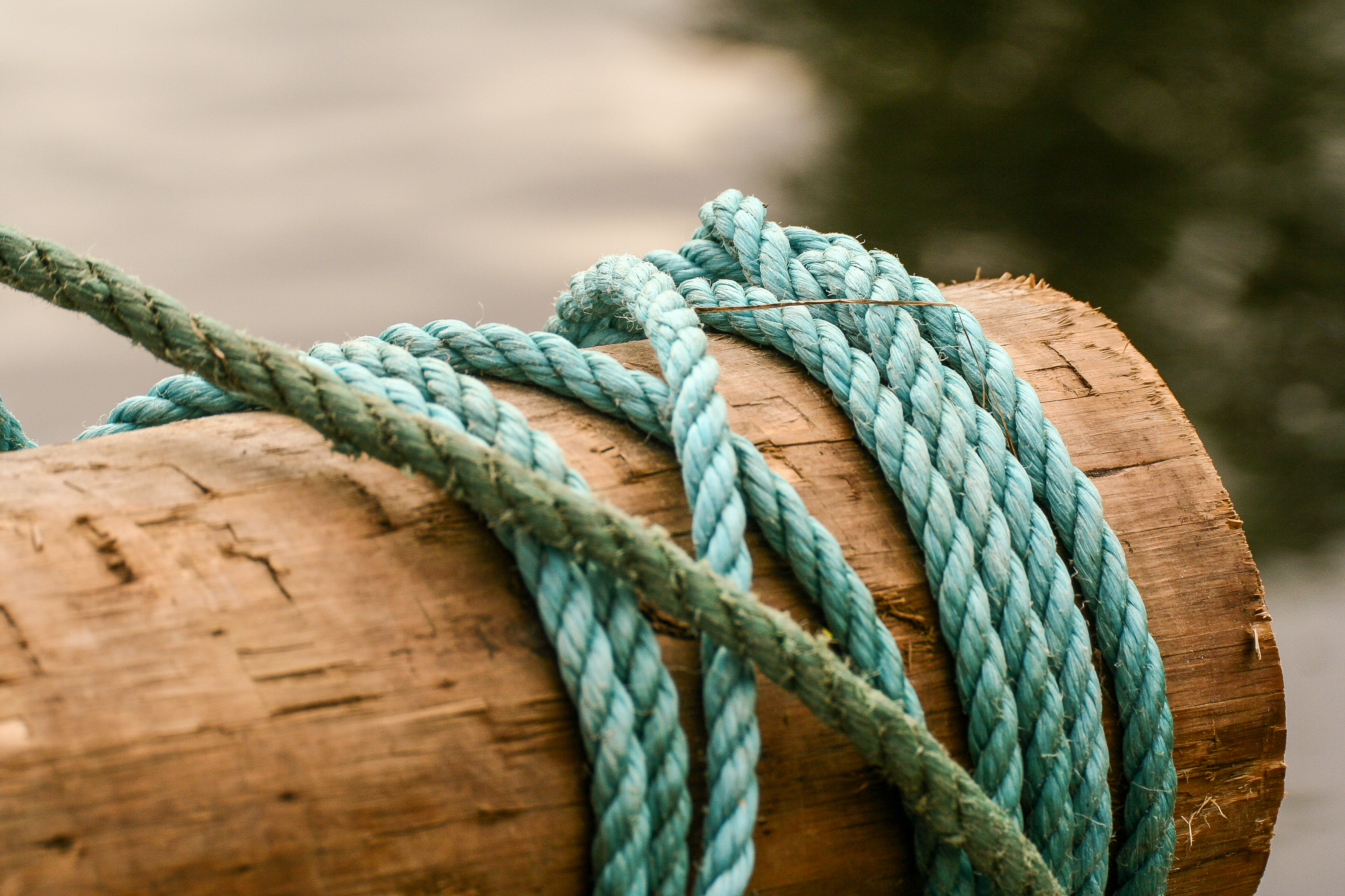 Knot on a wooden beam. | Source: Shutterstock