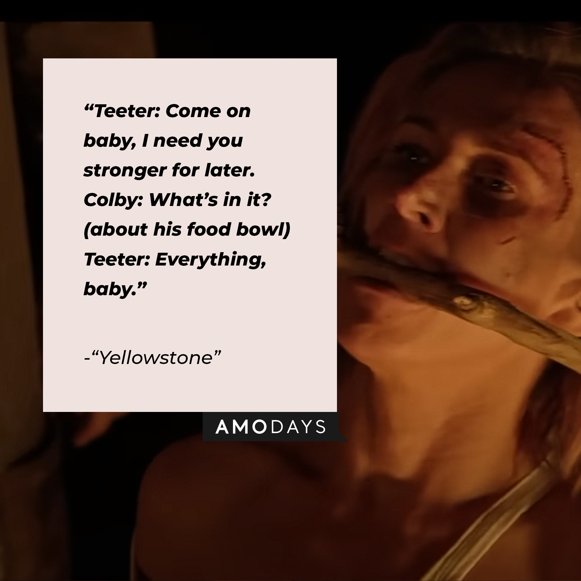 Quote from “Yellowstone”: “Teeter: Come on baby, I need you stronger for later. Colby: What’s in it? (about his food bowl) Teeter: Everything, baby.” | Source: youtube.com/yellowstone