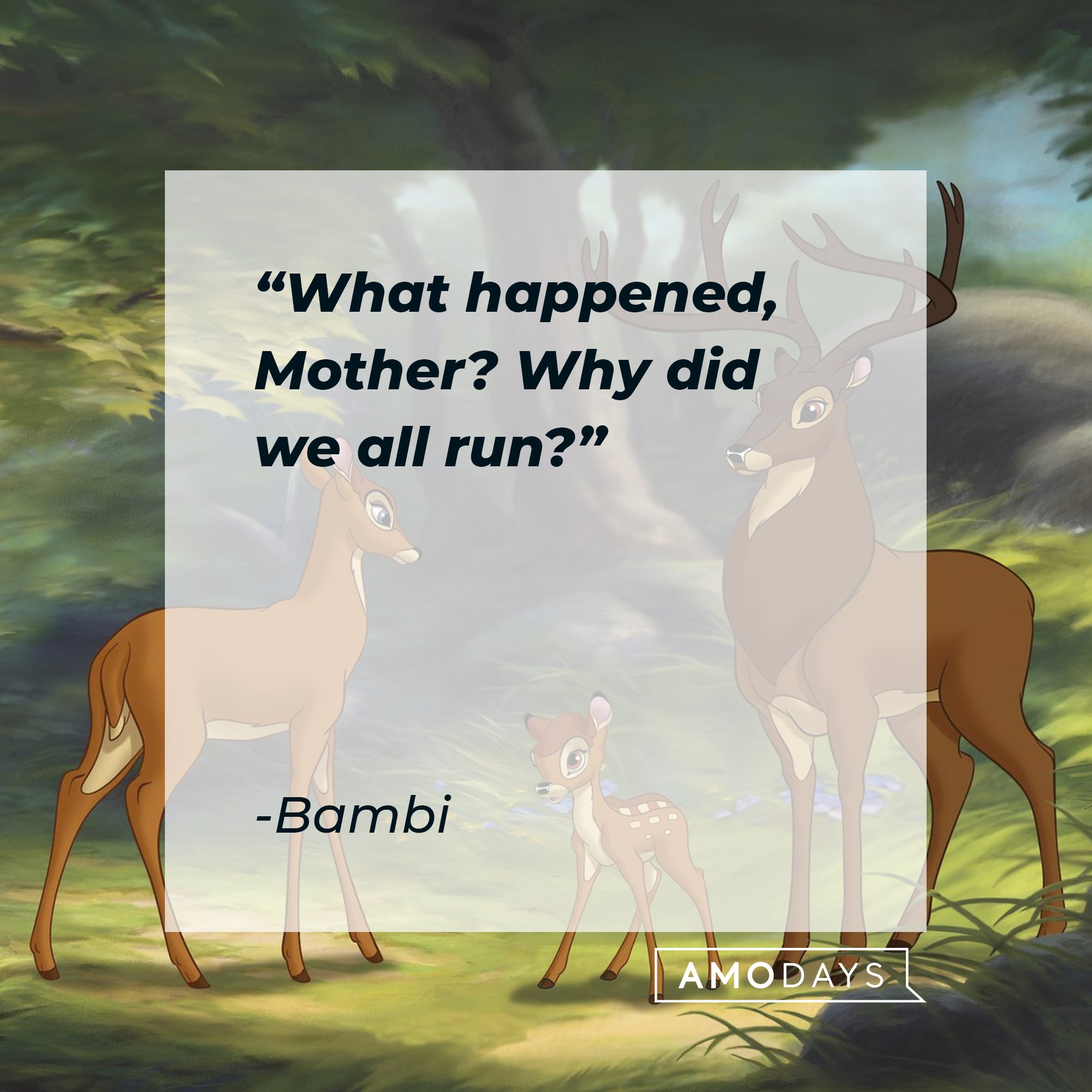 Bambi 's quote "What happened, Mother? Why did we all run?" | Source: facebook.com/DisneyBambi