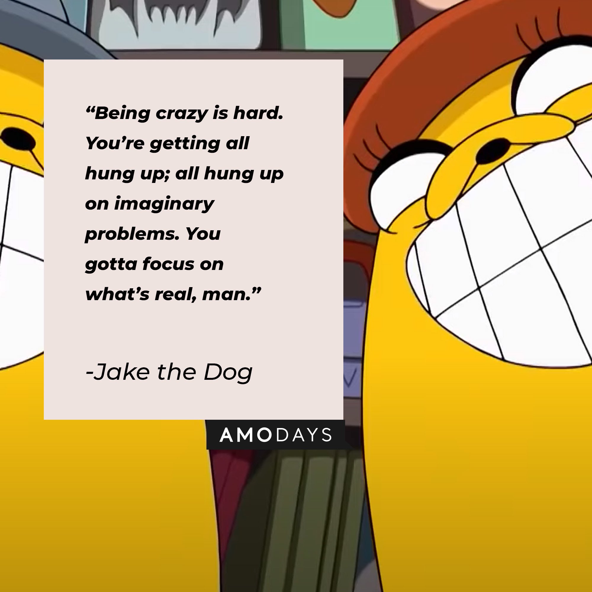  Jake the Dog's quote: "Being crazy is hard. You’re getting all hung up; all hung up on imaginary problems. You gotta focus on what’s real, man." | Image: AmoDays