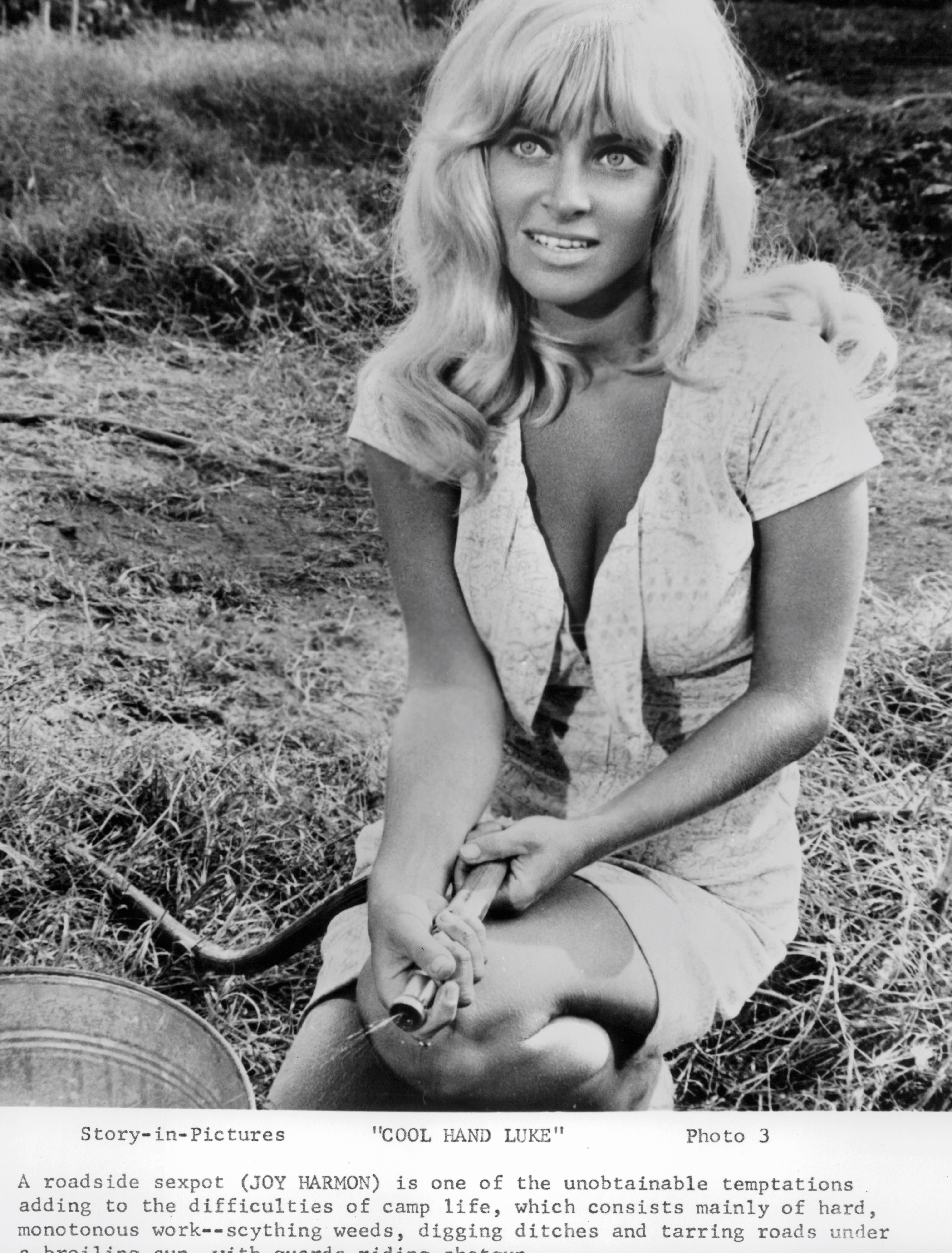 The actress in a scene from "Cool Hand Luke" in 1967. | Source: Getty Images