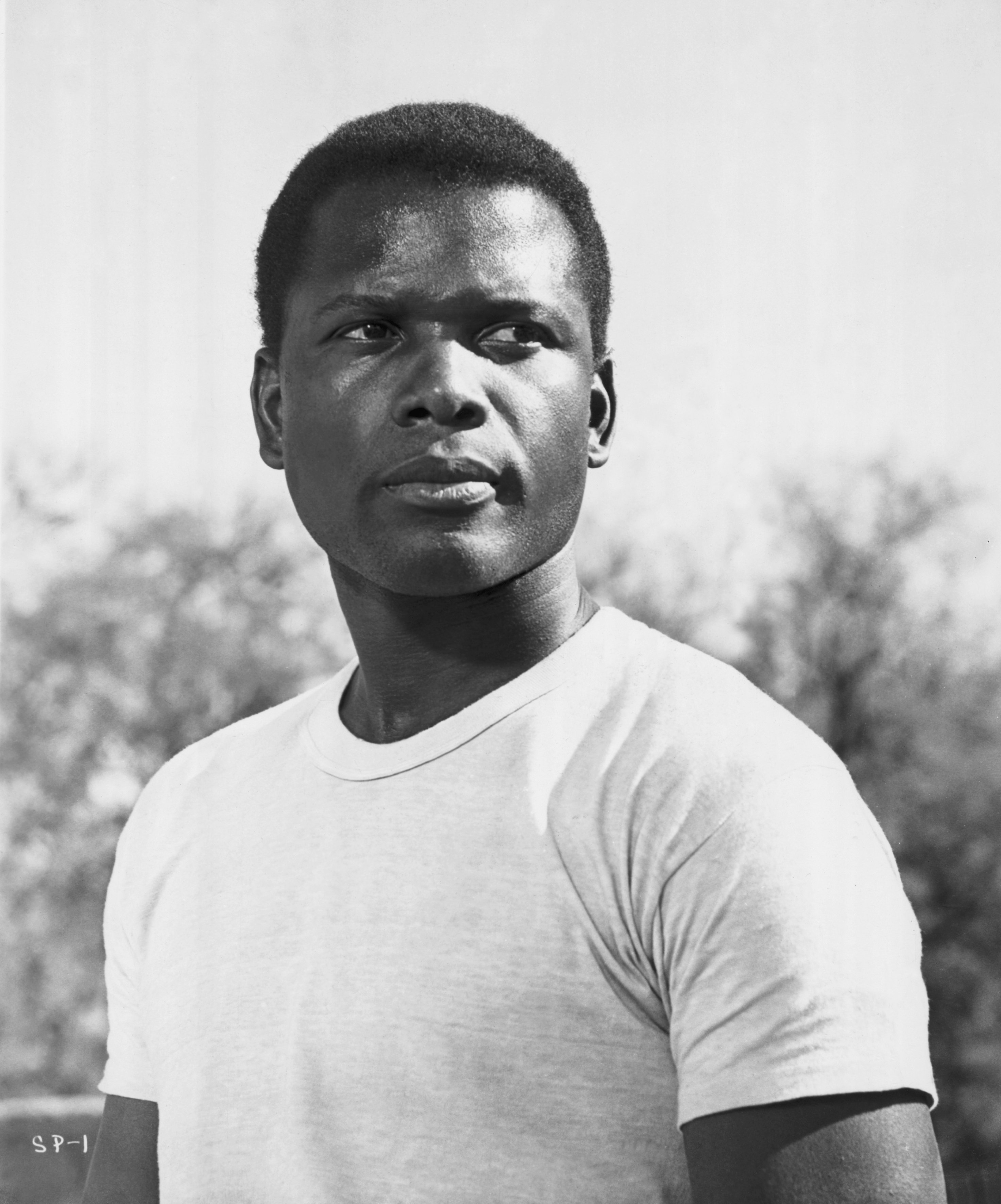Sidney Poitier in a scene from the movie, "Lilies of the Field" in 1963 | Source: Getty Images 
