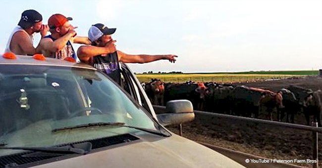 Farm boys parody the theme from ‘The Fresh Prince of Bel-Air’ and their video quickly goes viral