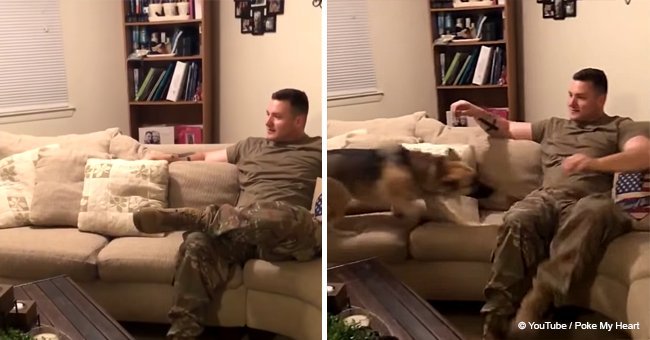 Dog leaps and cries with excitement when US soldier owner returns home (video)