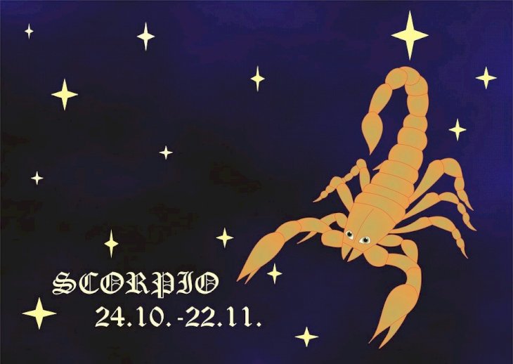 Escorpión. | Imagen: Maxpixel