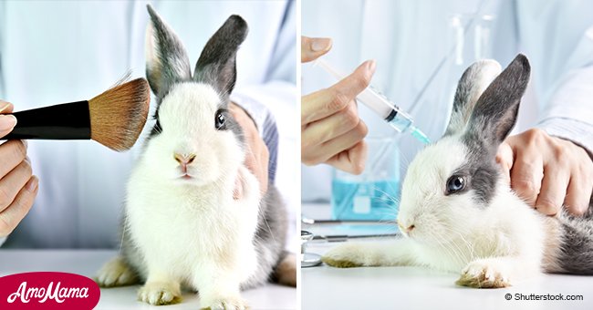 California becomes first US state to ban animal-tested products
