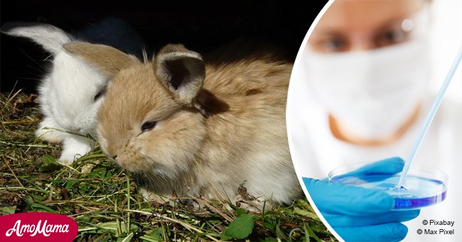 California becomes the first U.S. state to ban cosmetic animal testing