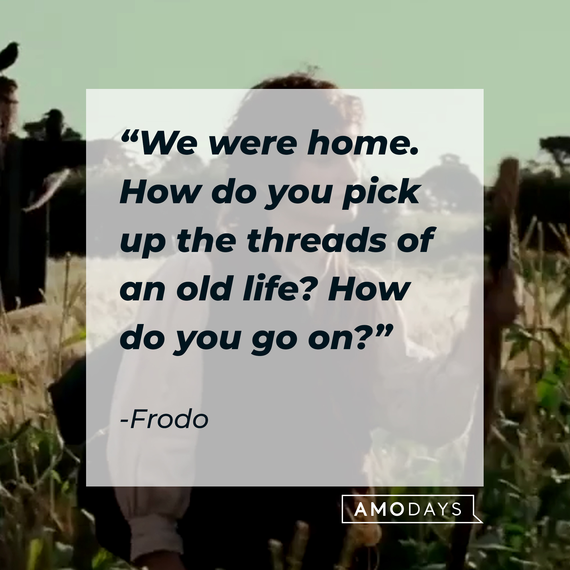 A photo of Frodo baggins with the quote, "We were home. How do you pick up the threads of an old life? How do you go on?" | Source: Facebook/lordoftheringstrilogy