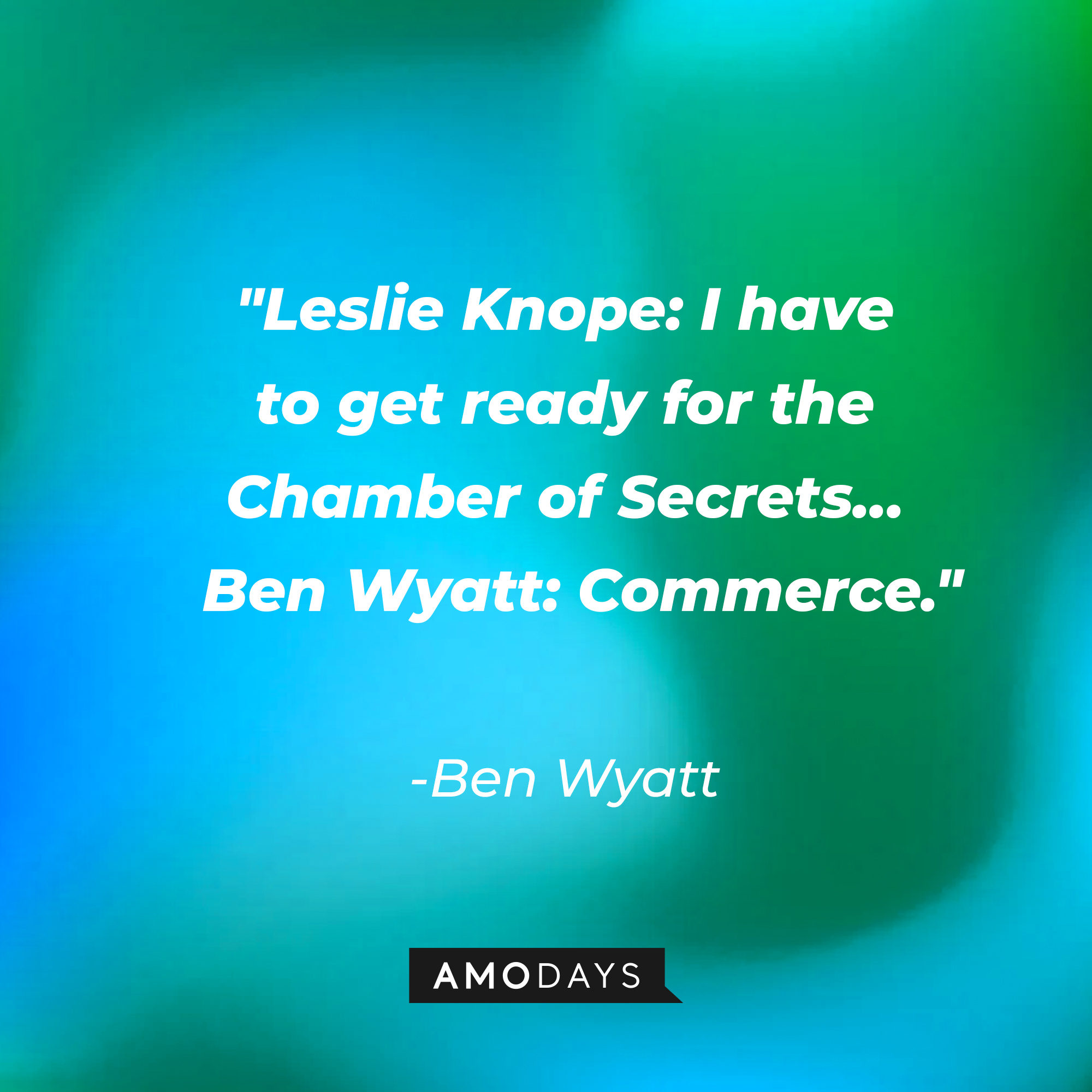 A quote from Ben and Leslie in the Parks and Recreation" series: "Leslie Knope: I have to get ready for the Chamber of Secrets… Ben Wyatt: Commerce." | Source: AmoDays