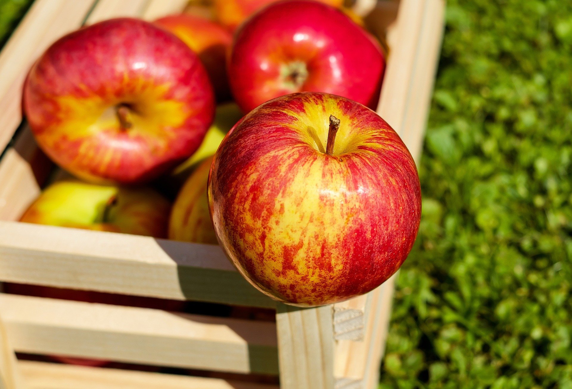 Pommes dans un panier. | Photo : Pixabay