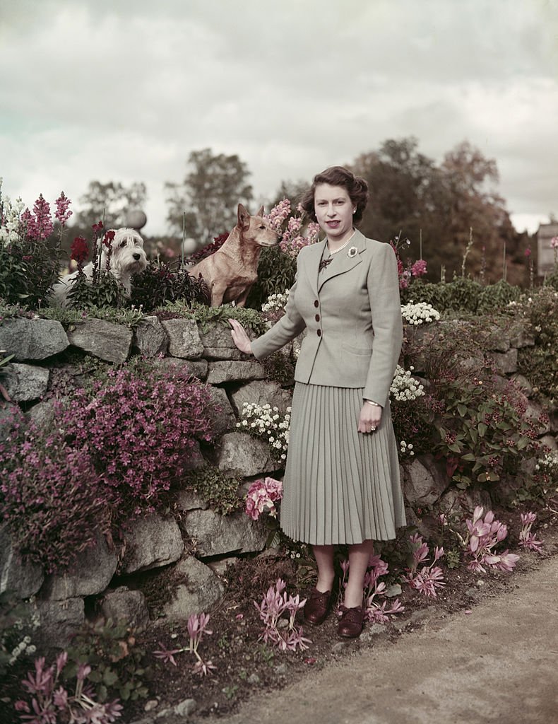 La reine Elizabeth II avec deux chiens au château de Balmoral en Écosse, le 28 septembre 1952. | Photo : Getty Images