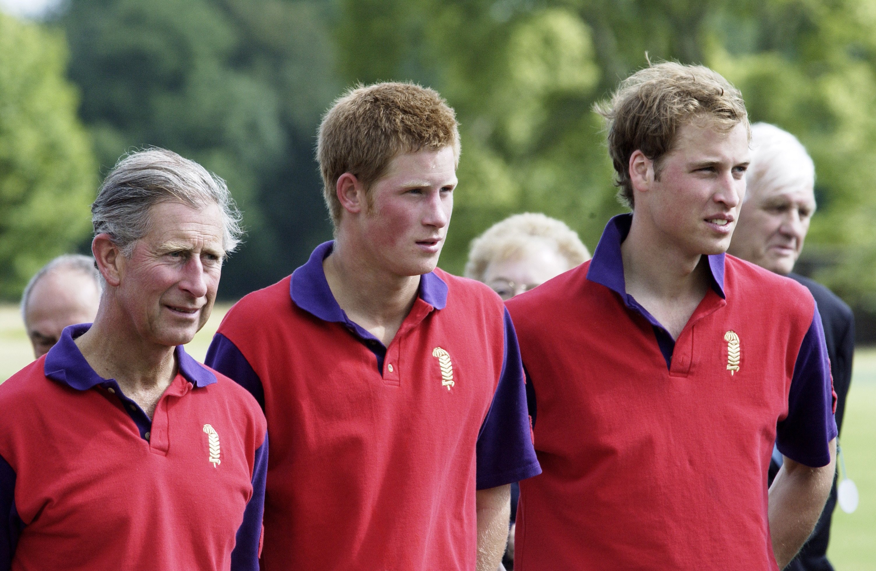 Prince Charles, Prince Harry, and Prince William at Cirencester Park Polo Club, in Cirencester, UK, on July 3, 2004 | Source: Getty Images