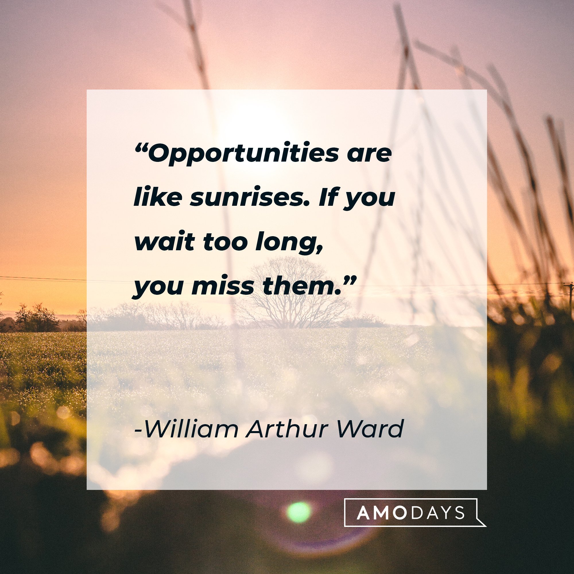 William Arthur Ward's quote: "Opportunities are like sunrises. If you wait too long, you miss them." | Image: AmoDays 