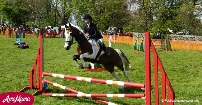 Jockey enters a steeplechase with a new horse and finishes it highly embarrassed