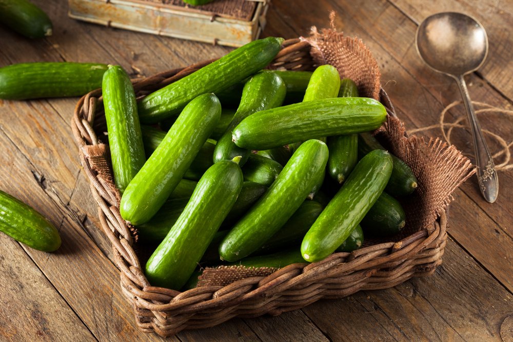 Plusieurs concombres / Source : Shutterstock