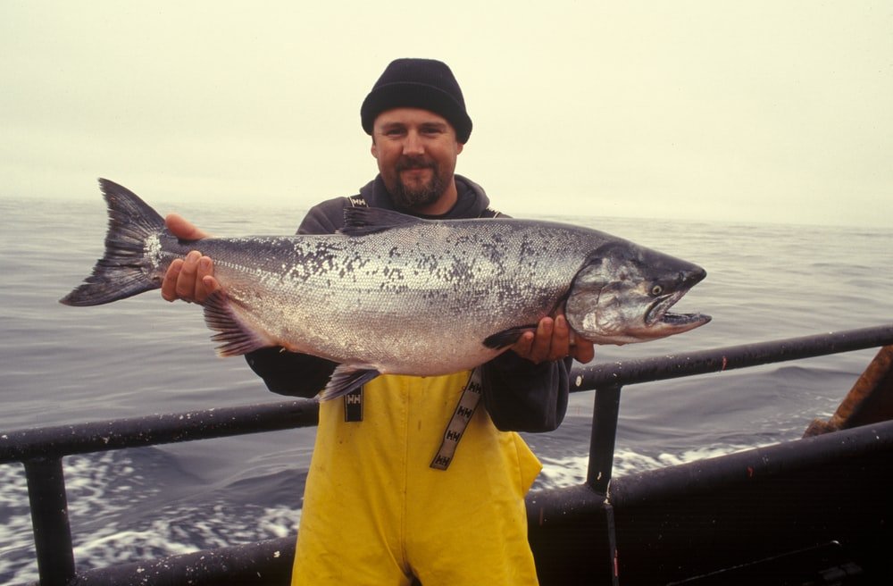All the other fishermen caught big fish | Source: Unsplash