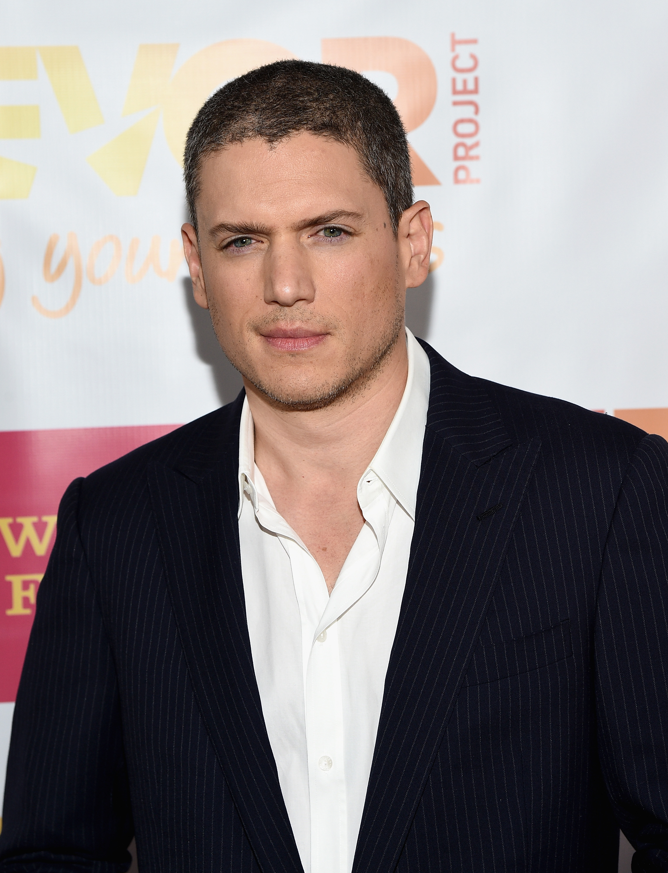 Wentworth Miller attends "TrevorLIVE LA" Honoring Robert Greenblatt, Yahoo and Skylar Kergil for The Trevor Project at Hollywood Palladium on December 7, 2014, in Los Angeles, California. | Source: Getty Images