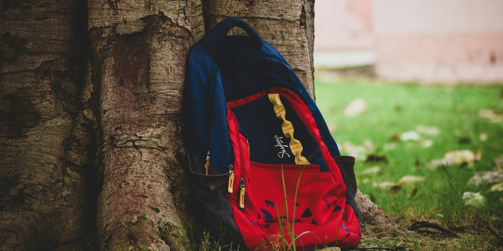 Old backpack | Source: Pexels