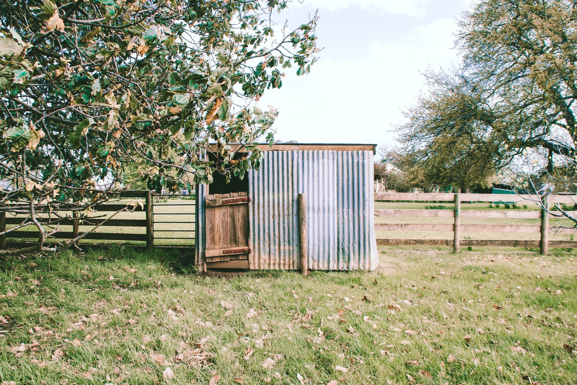 OP's shed | Source: Unsplash