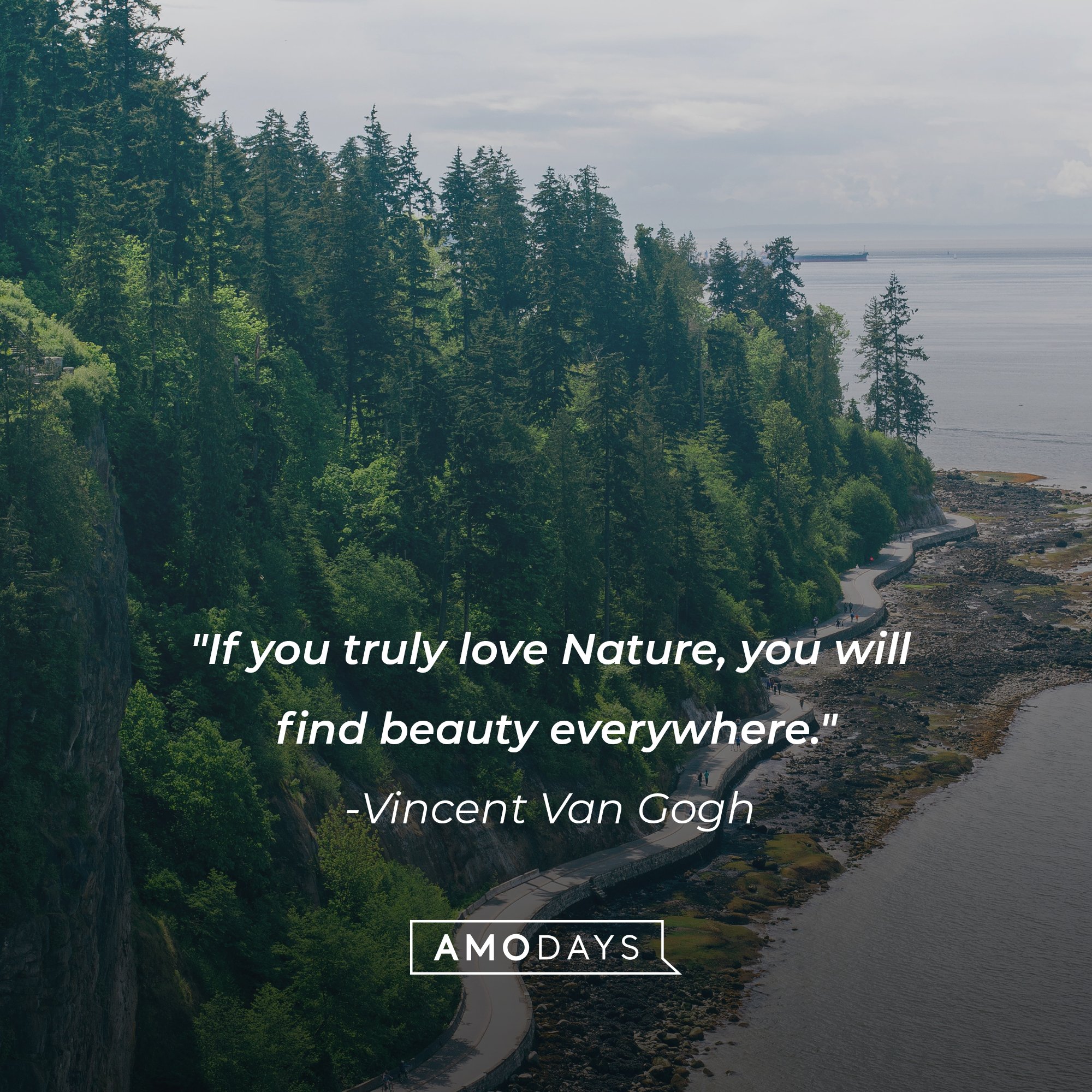 Vincent Van Gogh's quote: "If you truly love Nature, you will find beauty everywhere." | Image: AmoDays