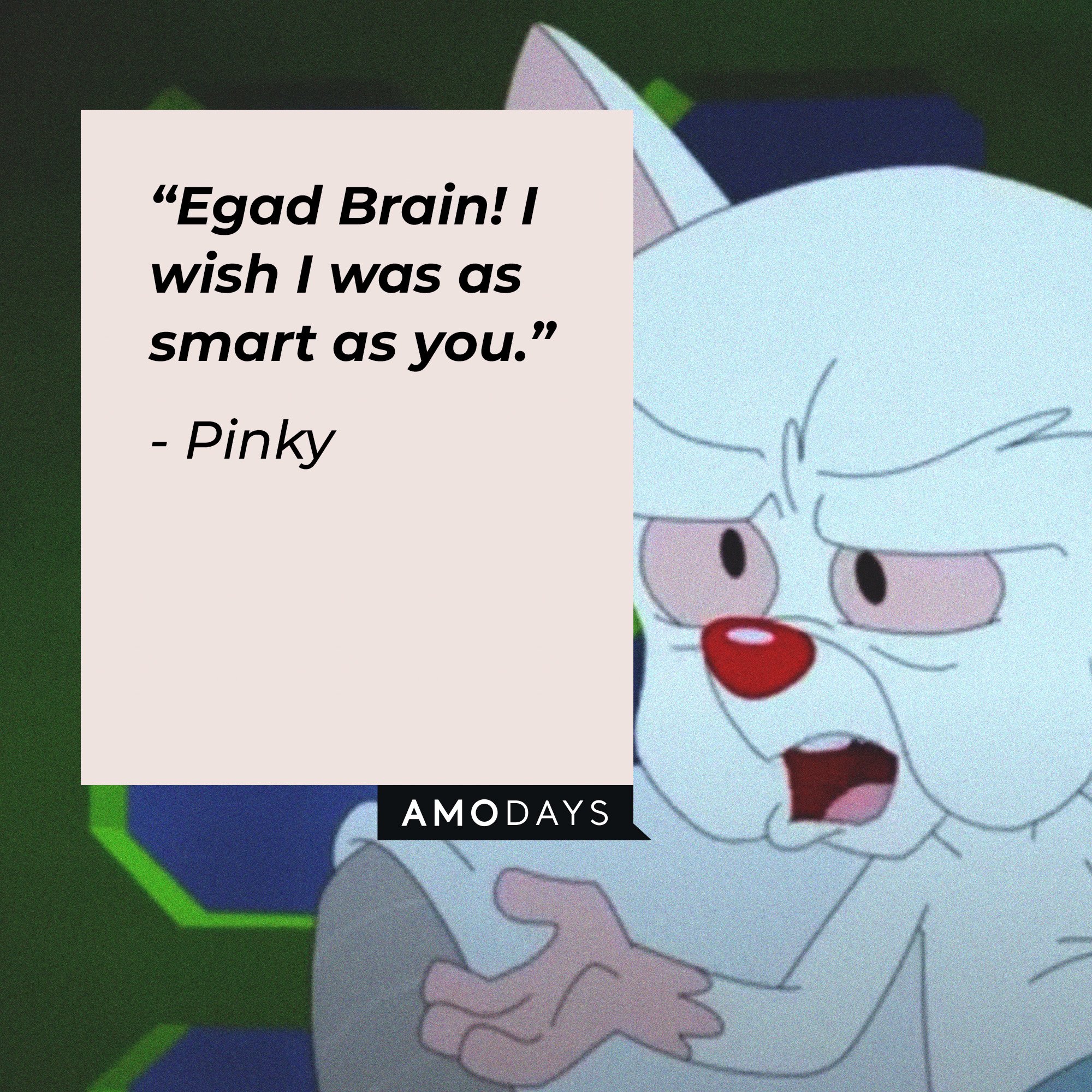  Pinky's quote: “Egad Brain! I wish I was as smart as you.” | Image: AmoDays