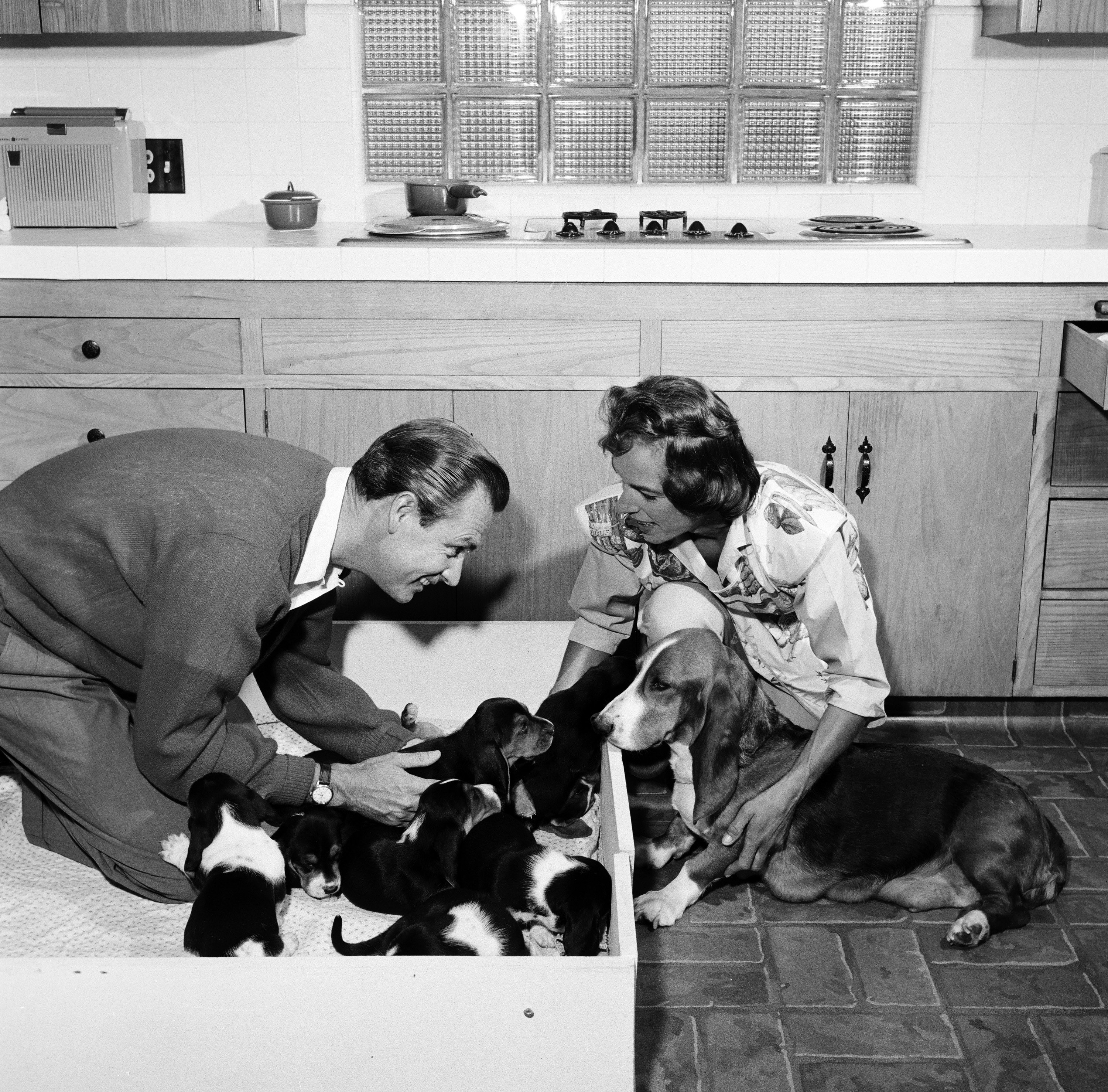 Picture of Bob Barker and his wife Dorothy Jo Barker | Source: Getty Images