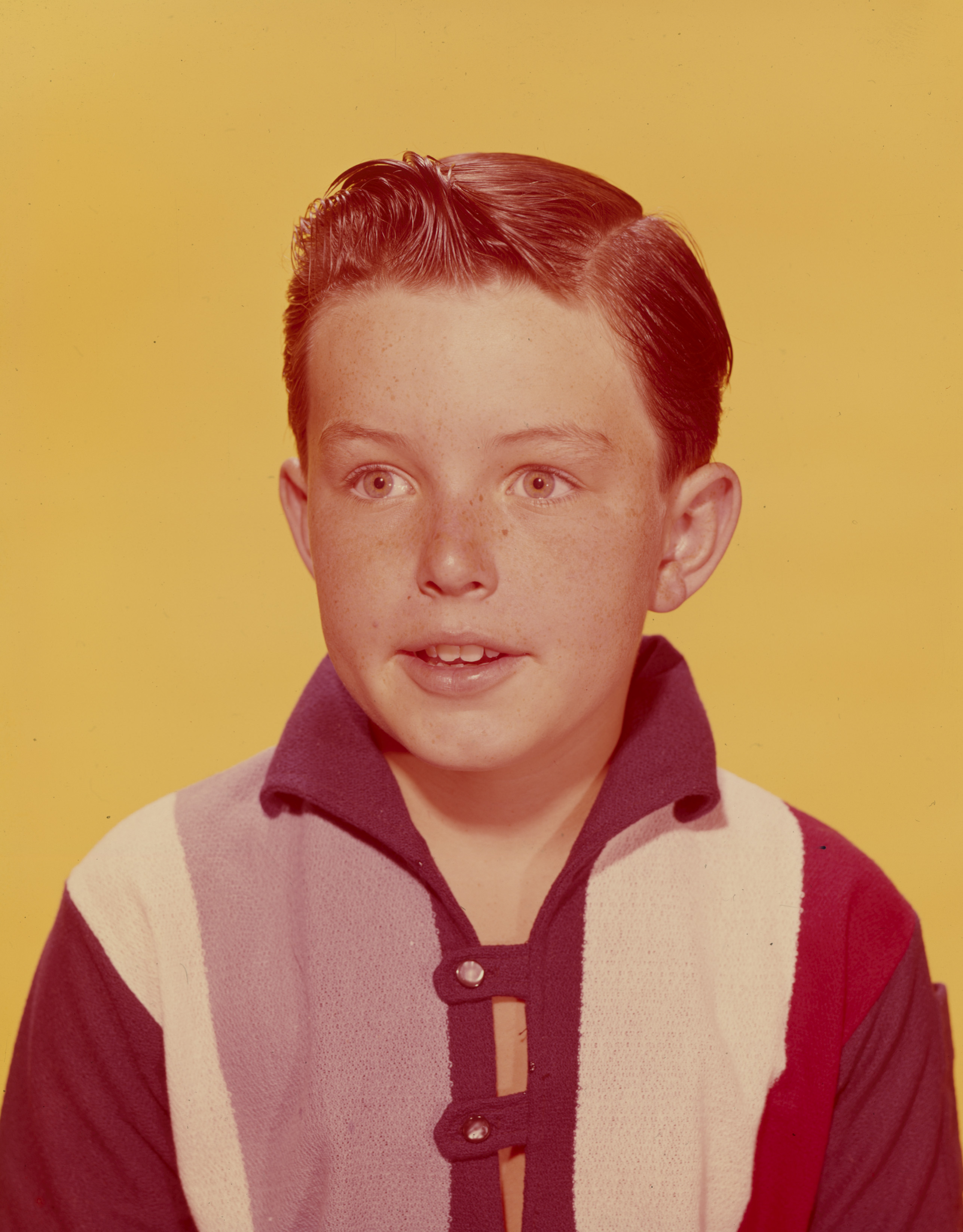 Jerry Mathers as Theodore "Beaver" Cleaver in "Leave It To Beaver" in 1961 | Source: Getty Images