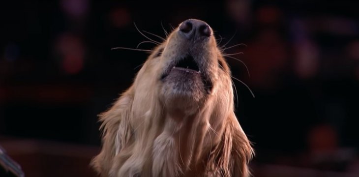 Quelle: Youtube/America's Got Talent Quelle: Youtube/America's Got Talent
