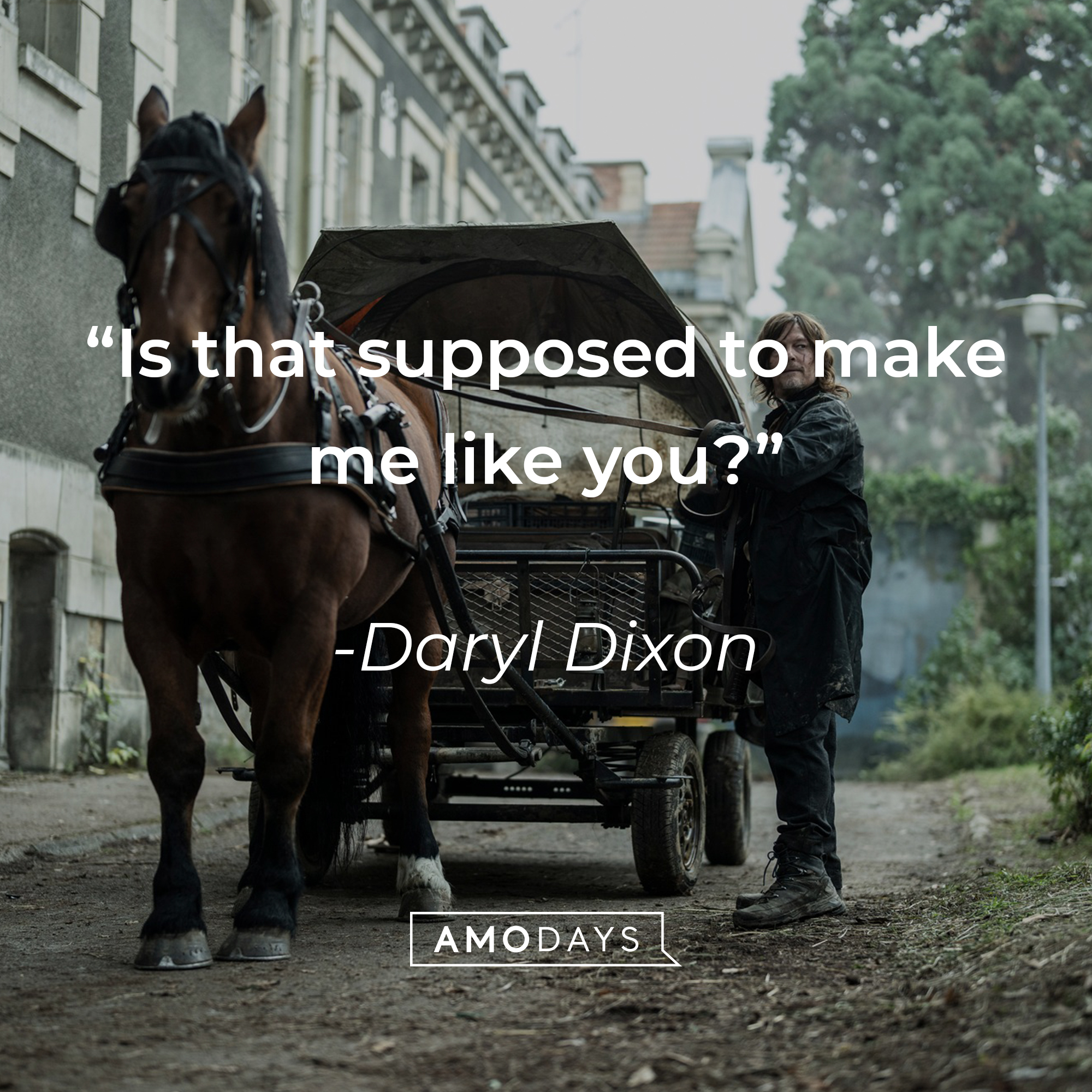 An image of Daryl Dixon with his quote:  “Is that supposed to make me like you?” | Source: facebook.com/TheWalkingDeadAMC