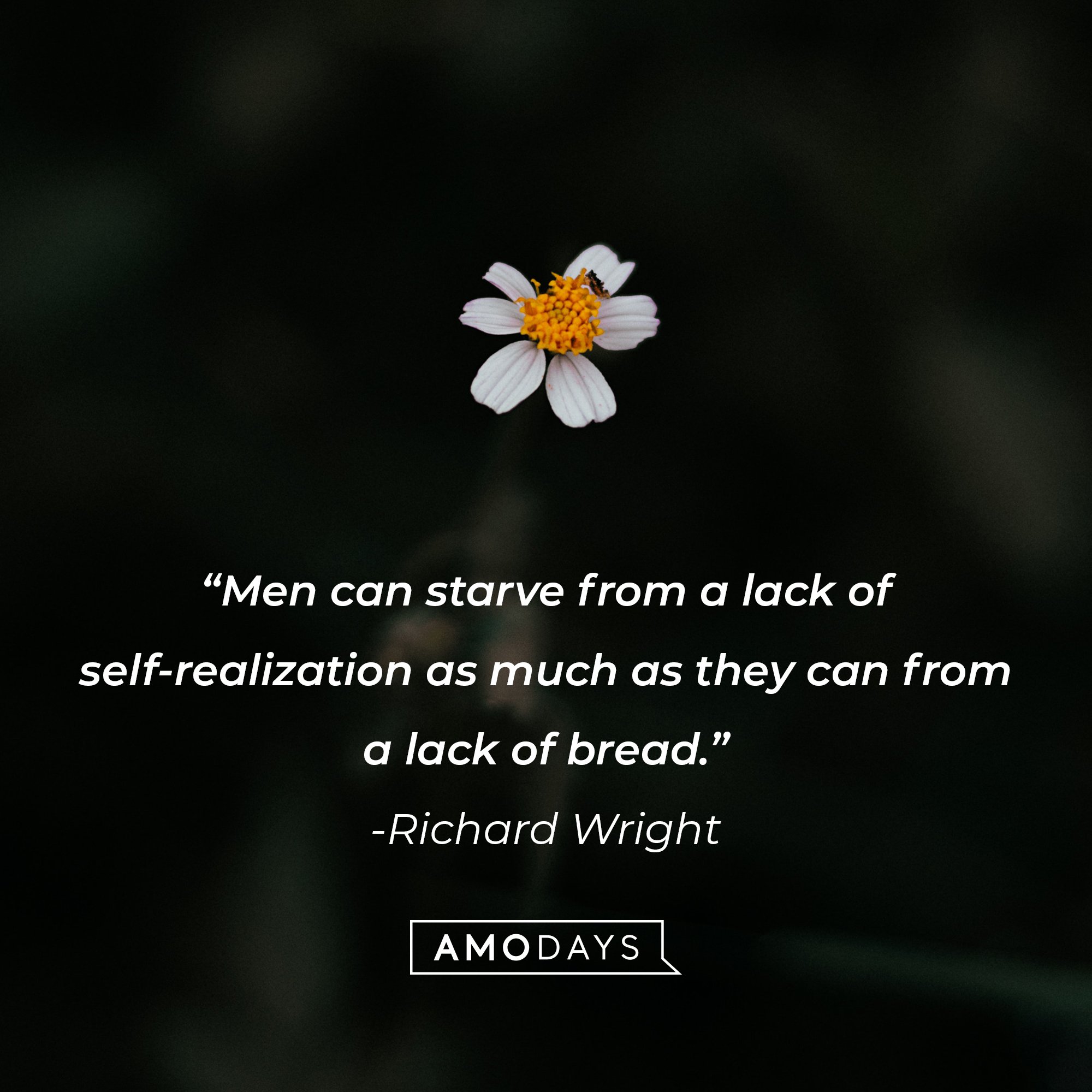  Richard Wright's quote: “Men can starve from a lack of self-realization as much as they can from a lack of bread.” | Image: AmoDays