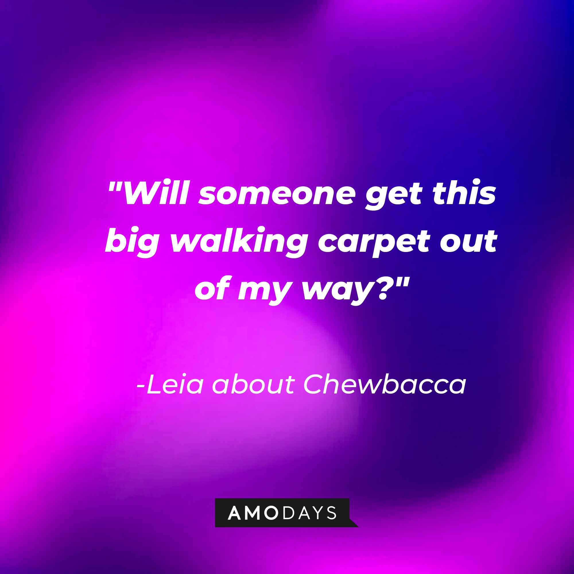 Leia's quote about Chewbacca: "Will someone get this big walking carpet out of my way?" | Source: AmoDays
