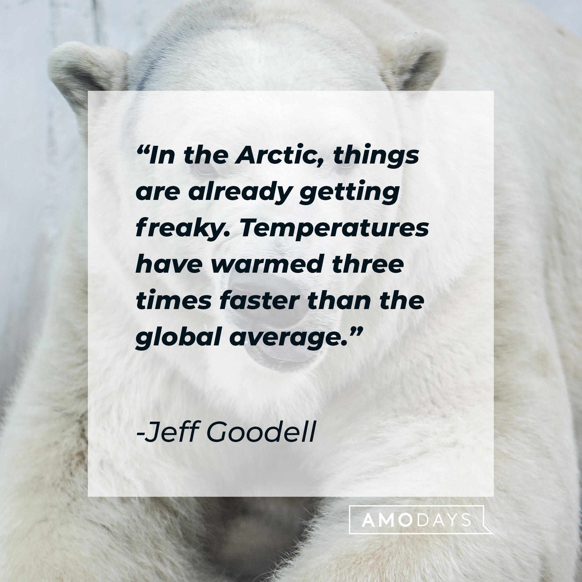 Jeff Goodell’s quote: "In the Arctic, things are already getting freaky. Temperatures have warmed three times faster than the global average." | Image: AmoDays