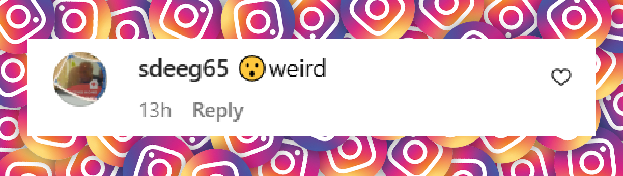 A comment under a post uploaded on April 28, 2025. | Source: Instagram/nypost