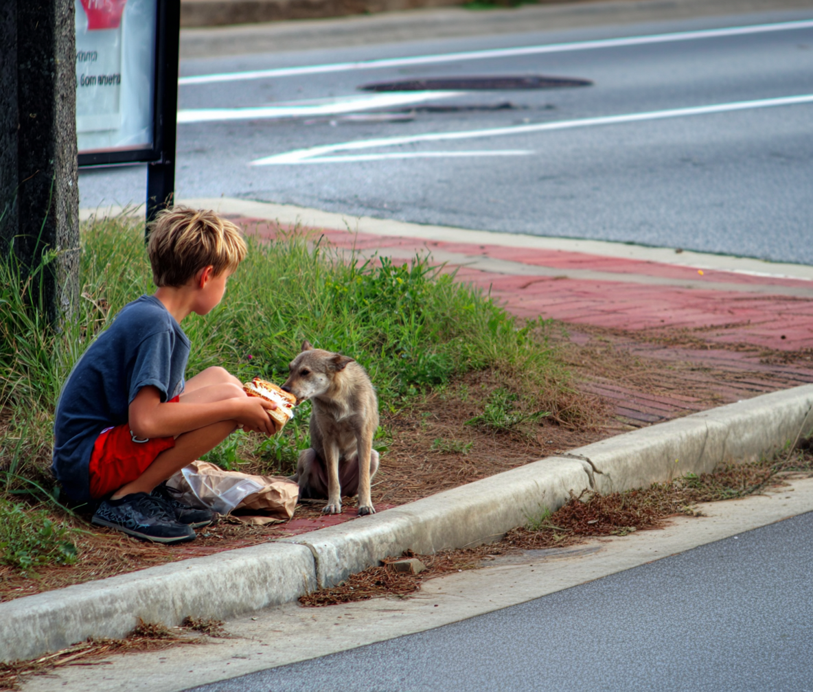 A boy feeding a dog | Source: Midjourney