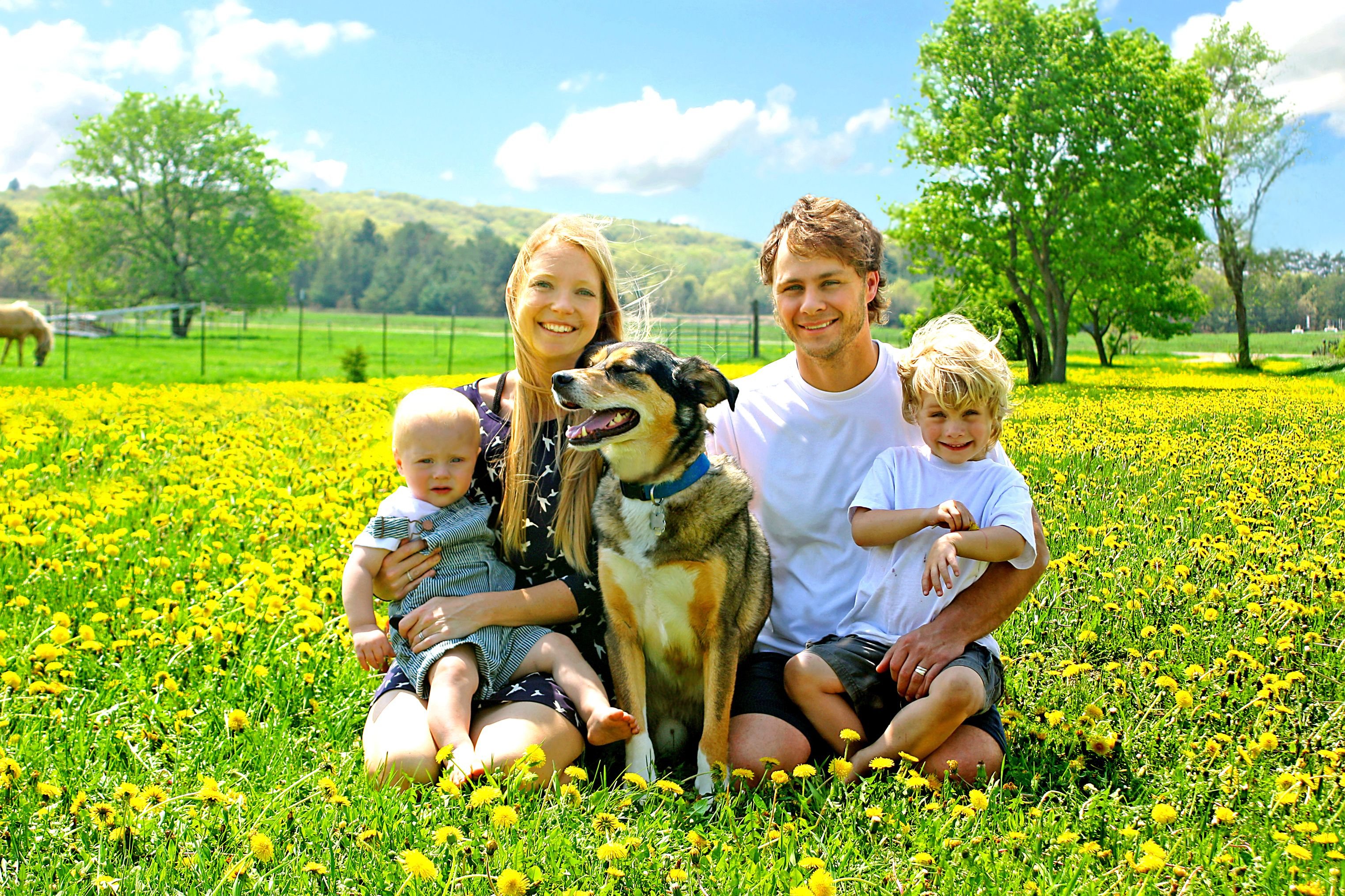 Eine glückliche Familie von vier Menschen, Mutter, Vater, junges Kind und Baby sitzen mit ihrem Hund draußen auf einem Feld aus Löwenblumen. | Foto von: Christin Lola via Shutterstock
