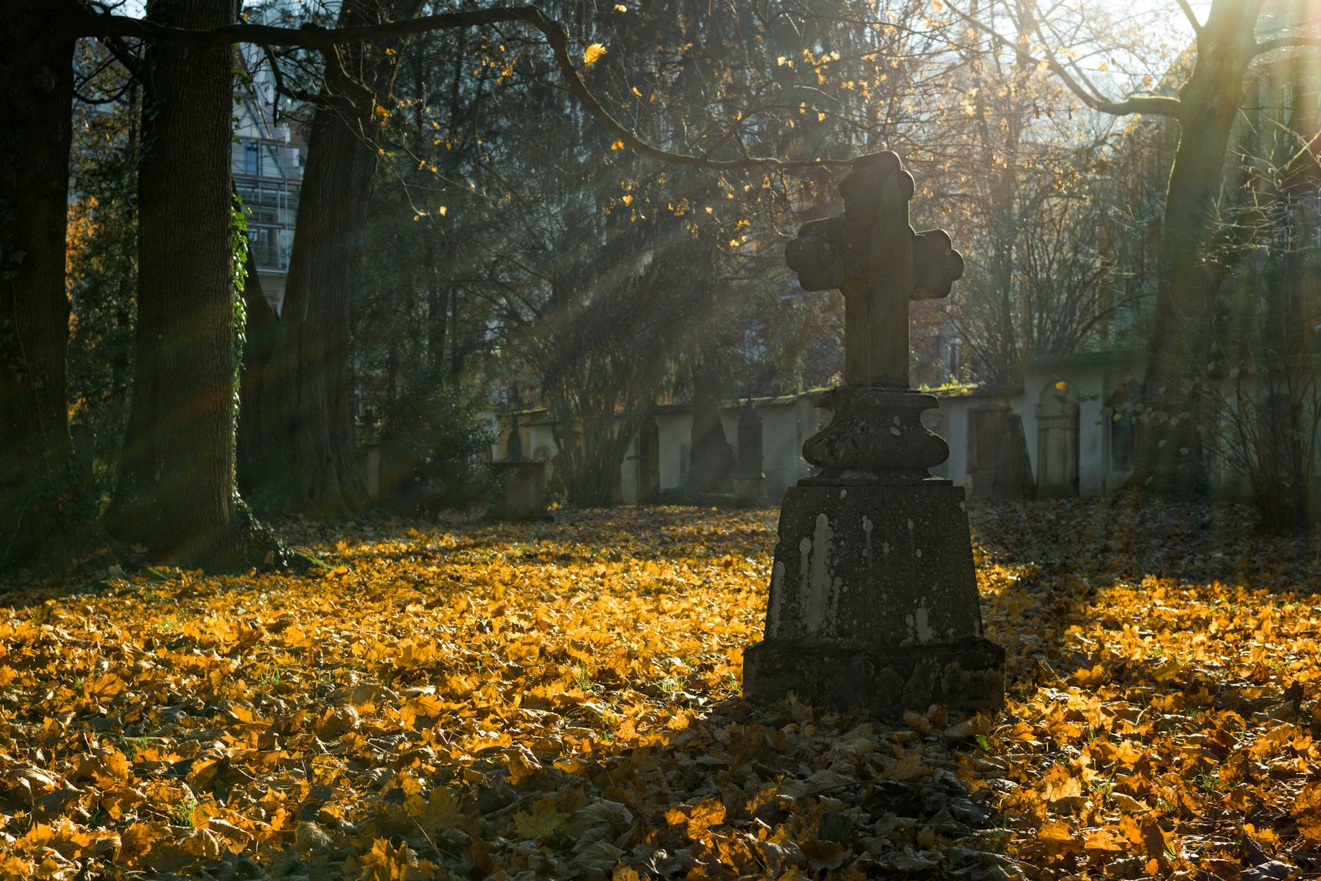 A gravestone | Source: Pexels