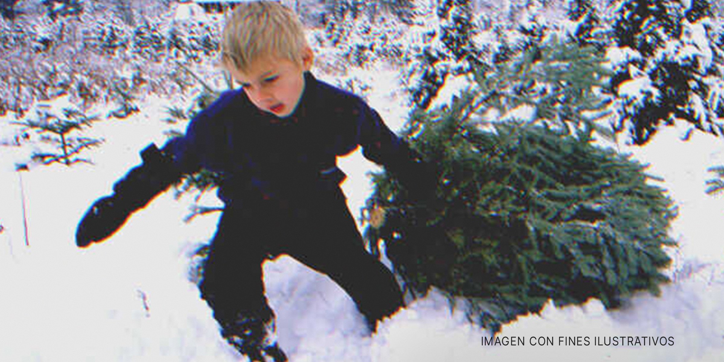 Niño arrastrando un pino en la nieve | Foto: Getty Images