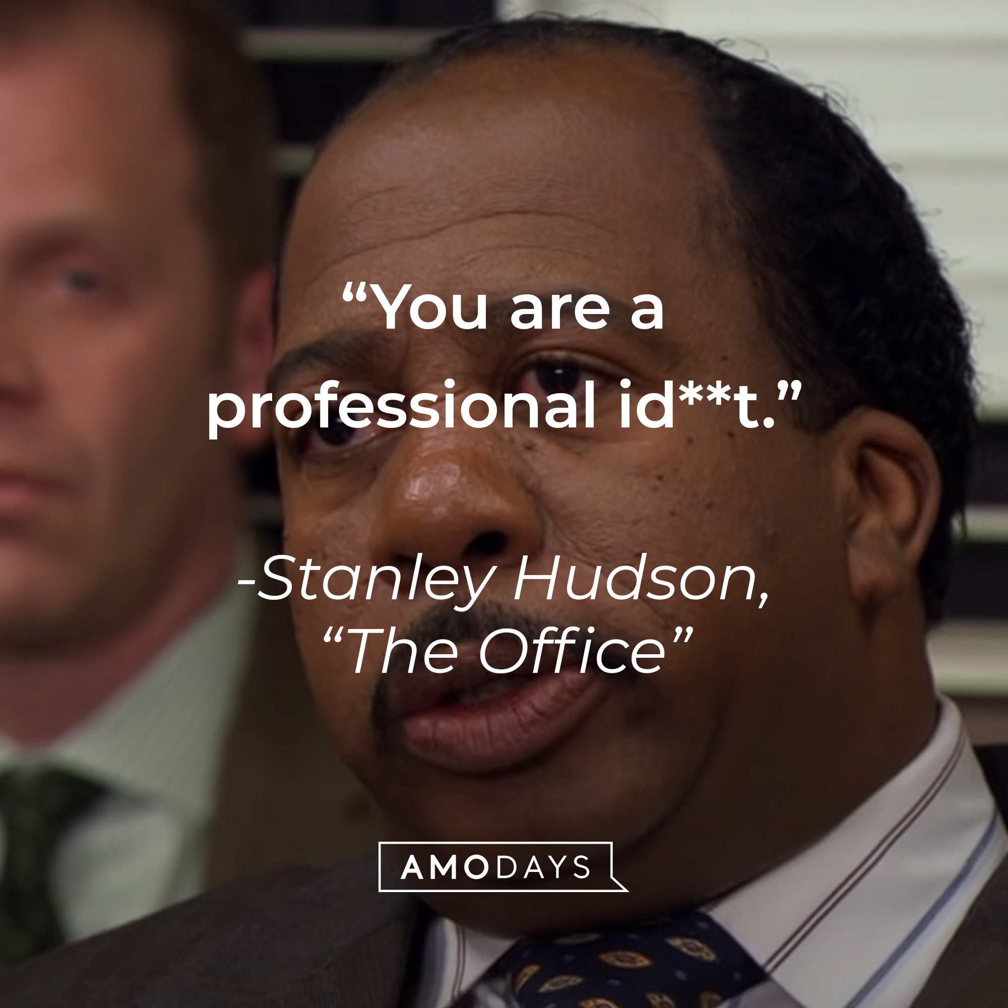 An image of Leslie David Baker as Stanley Hudson in "The Office" with the quote: "You are a professional id**t." | Source: youtube.com/The Office