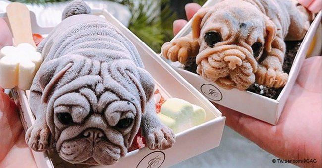 Ice cream puppies is the disturbing yet delicious trend that has the internet freaking out