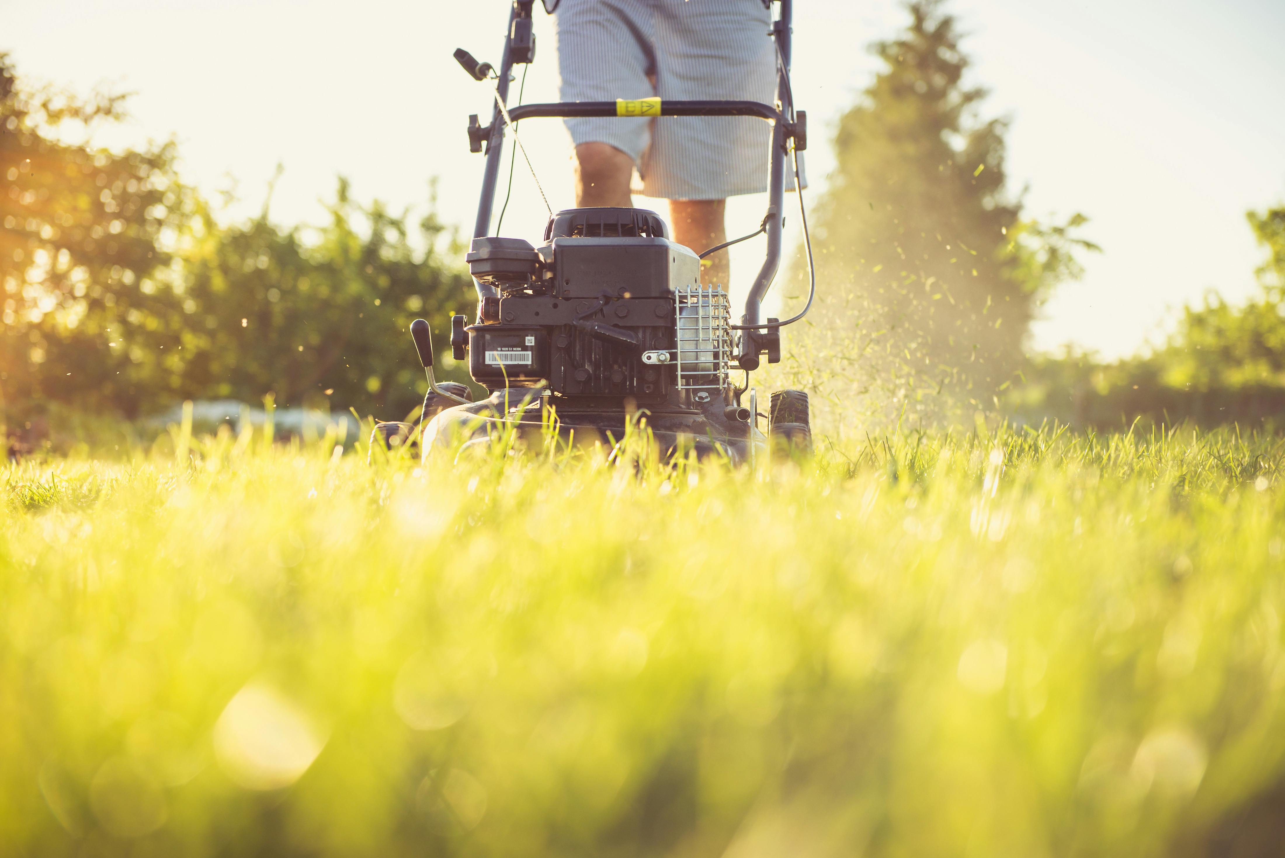 A person mowing the lawn | Source: Pexels