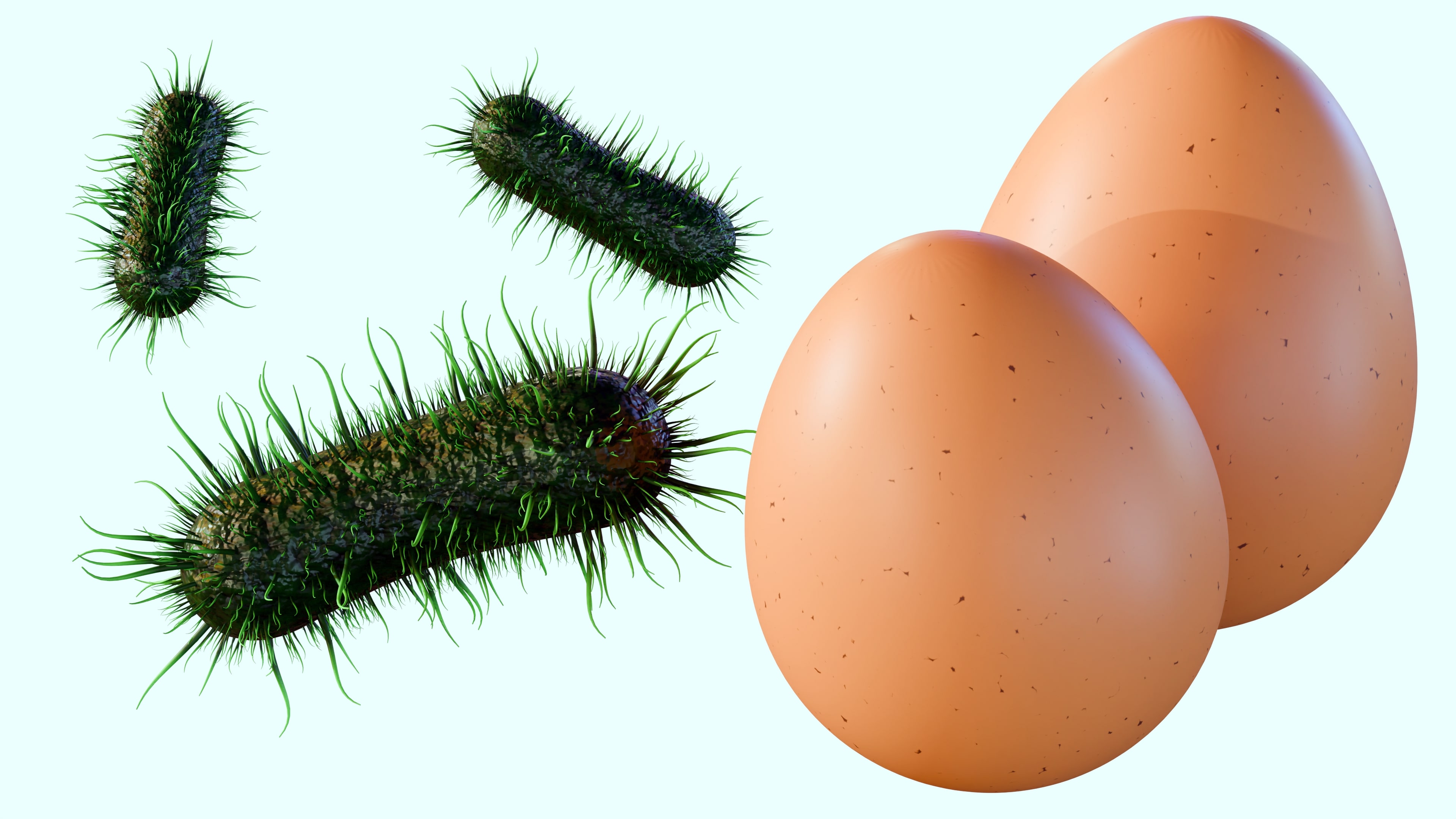 Beneath the surface of a simple shell: A visual breakdown of Salmonella bacteria lurking beside fresh eggs, illustrating how foodborne contamination starts at the source to trigger salmonellosis. | Source: Getty Images