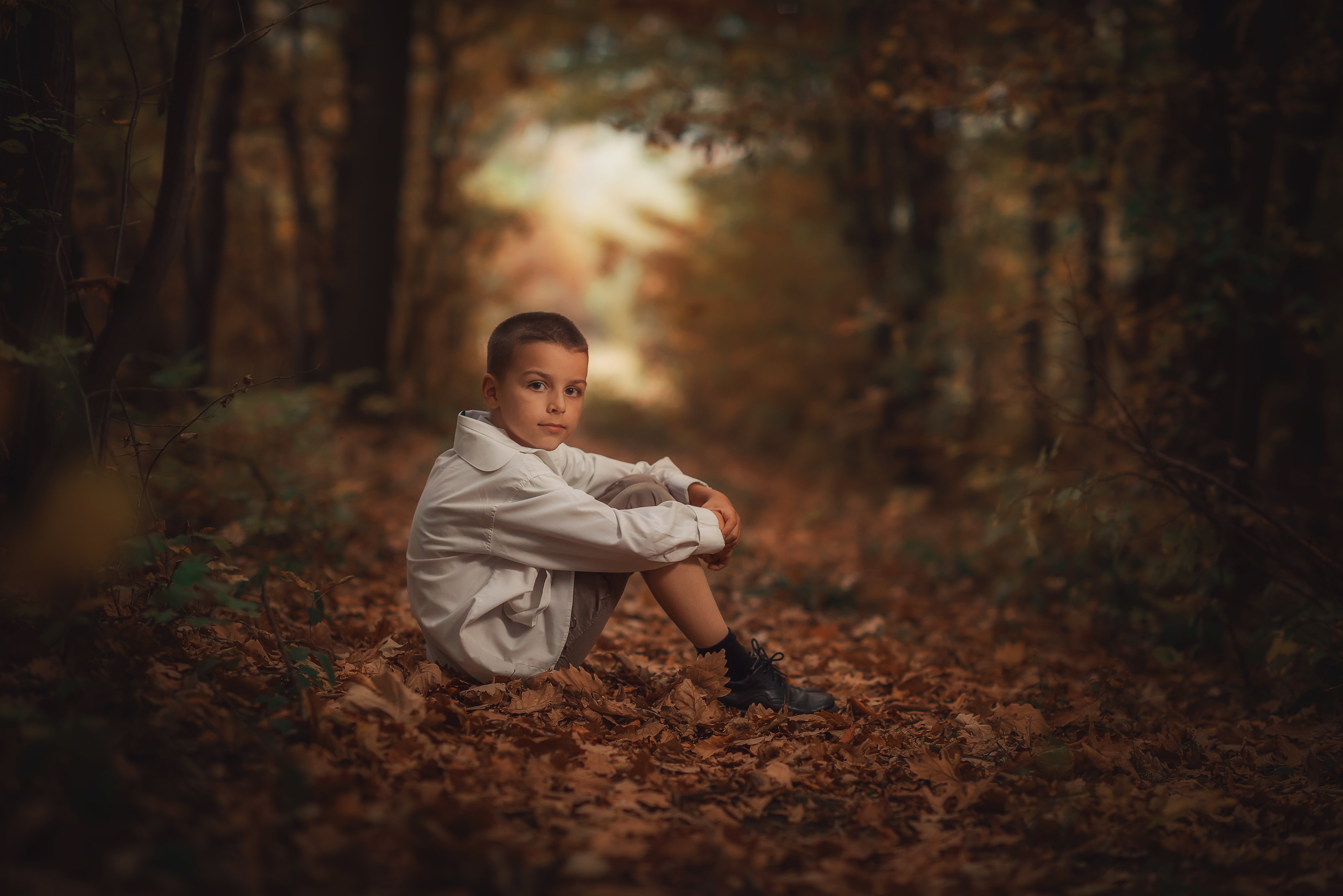 Portrait of boy sitting over autumn leaves in forest | Photo: Getty Images