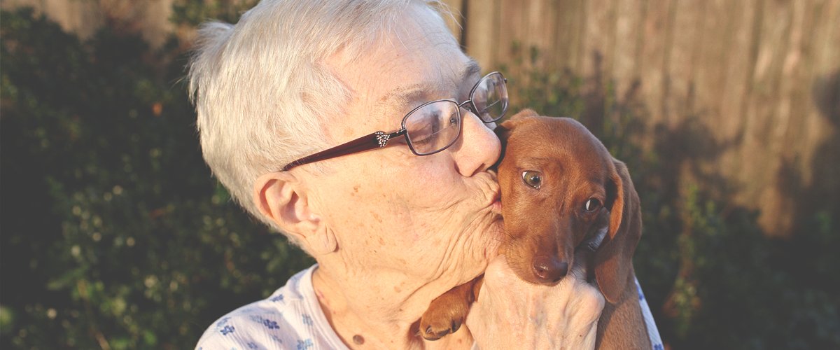 On disait à la grand-mère qu'elle était "trop vieille" pour adopter un chiot : Son mari lui fait une surprise