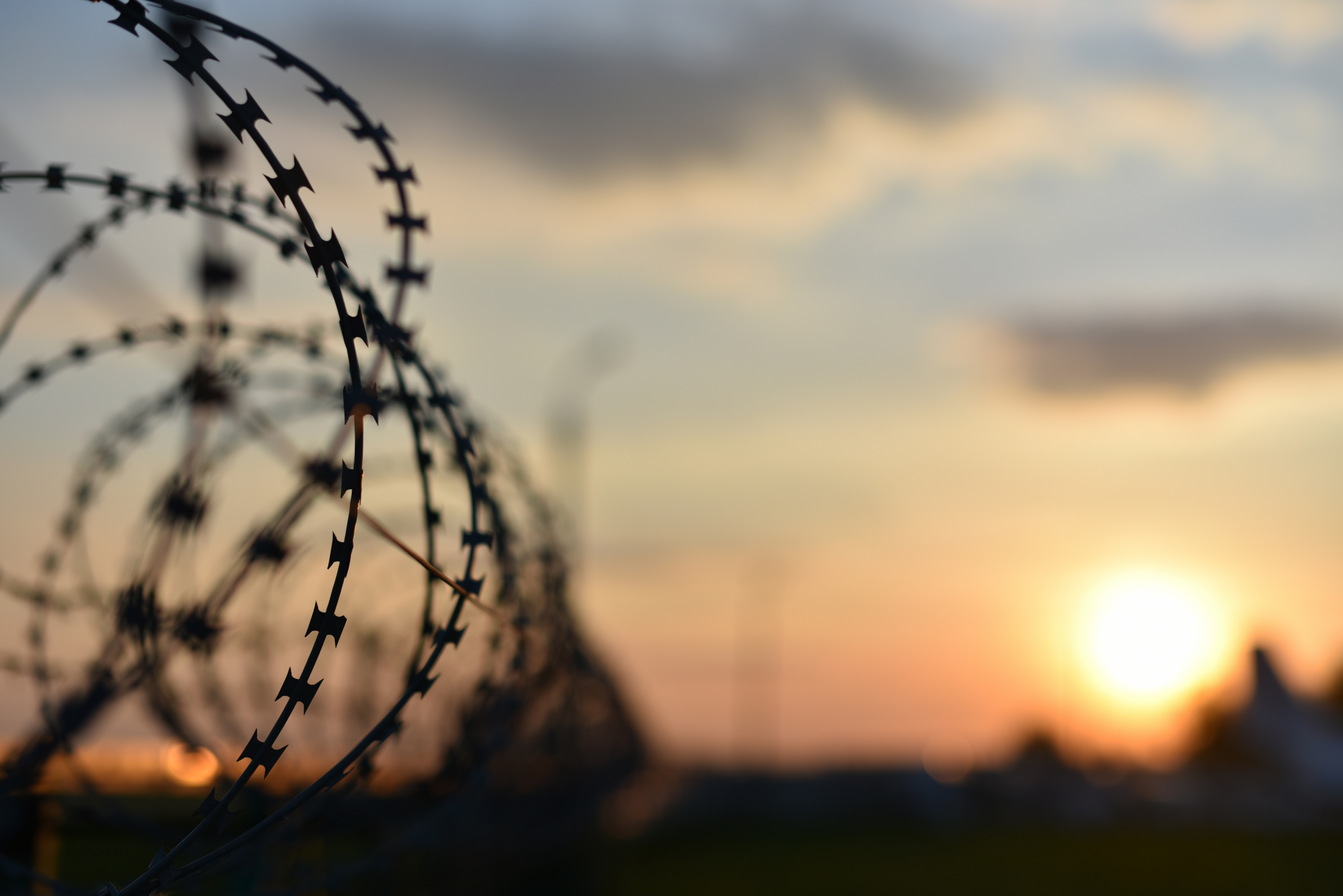 Barbed wire of prison fence. | Source: Shutterstock