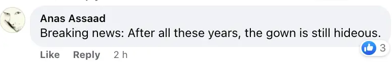 A comment about Paltrow's infamous dress posted on Facebook on June 16, 2023 | Source: Facebook.com/Daily Mail