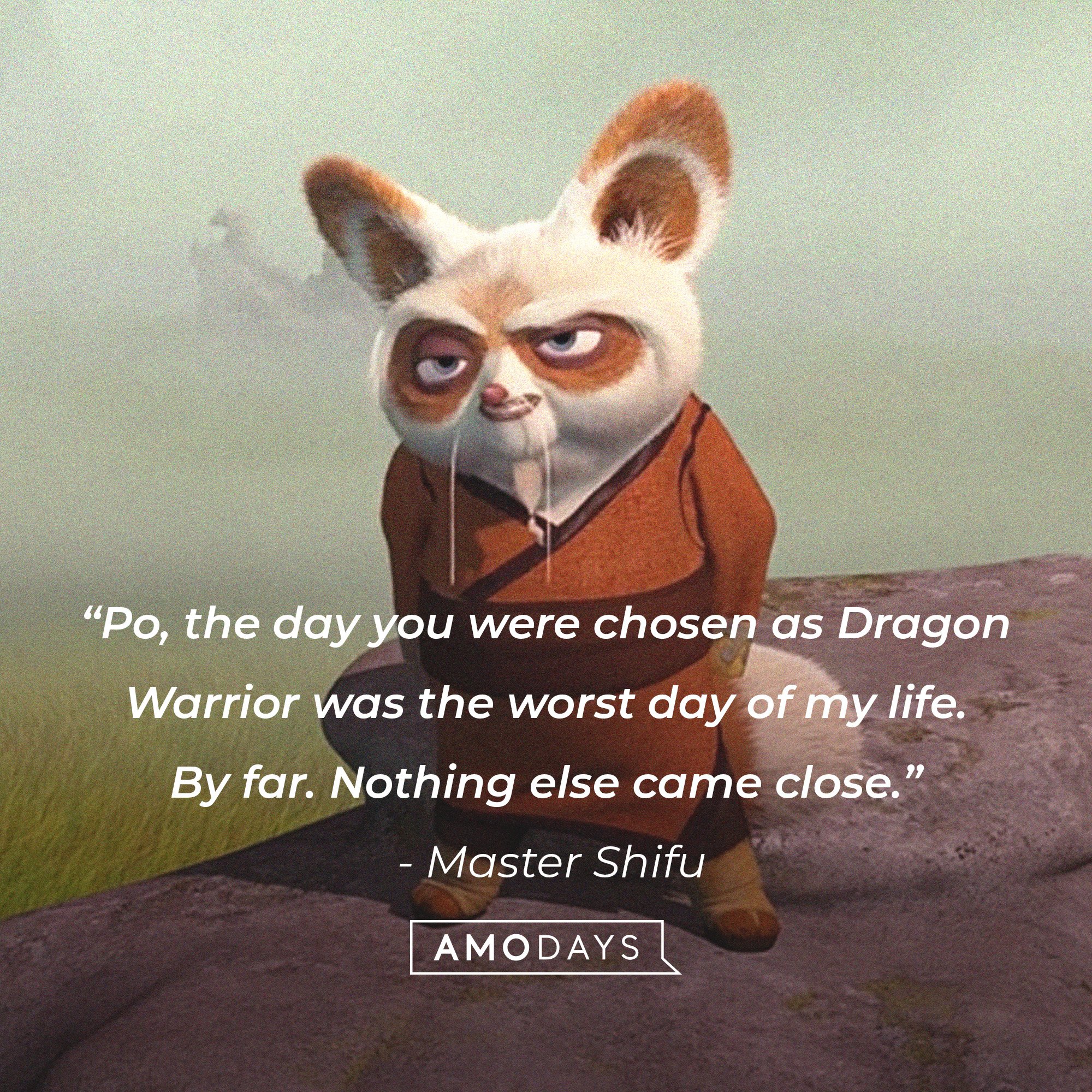  Master Shifu’s quote: "Po, the day you were chosen as Dragon Warrior was the worst day of my life. By far. Nothing else came close.” | Image: AmoDays