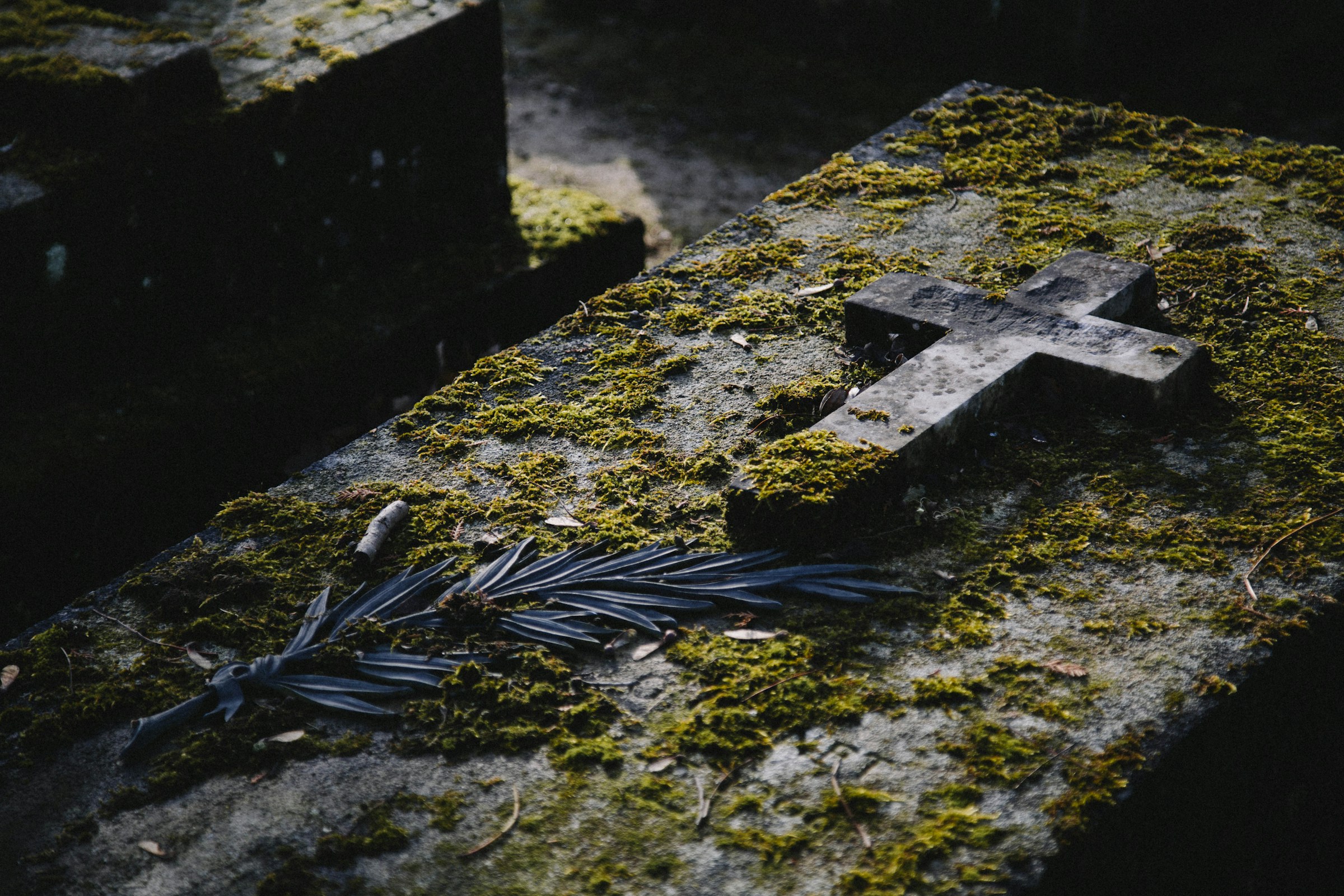 A gravestone covered in moss | Source: Unsplash