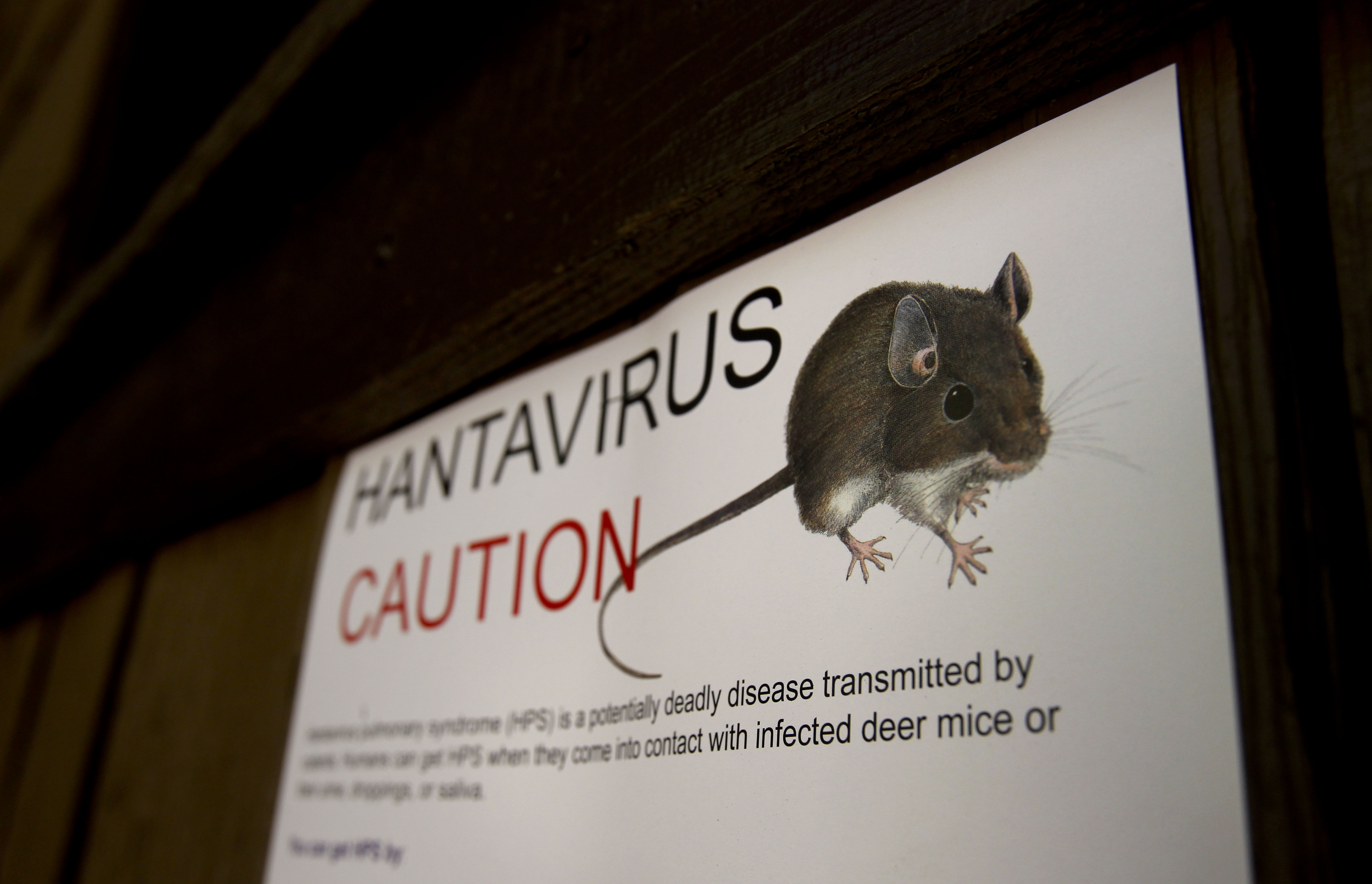 Warning signs for the hantavirus, are posted throughout Curry Village at Yosemite National Park, Calif, on 28 August 2012. | Source: Getty Images